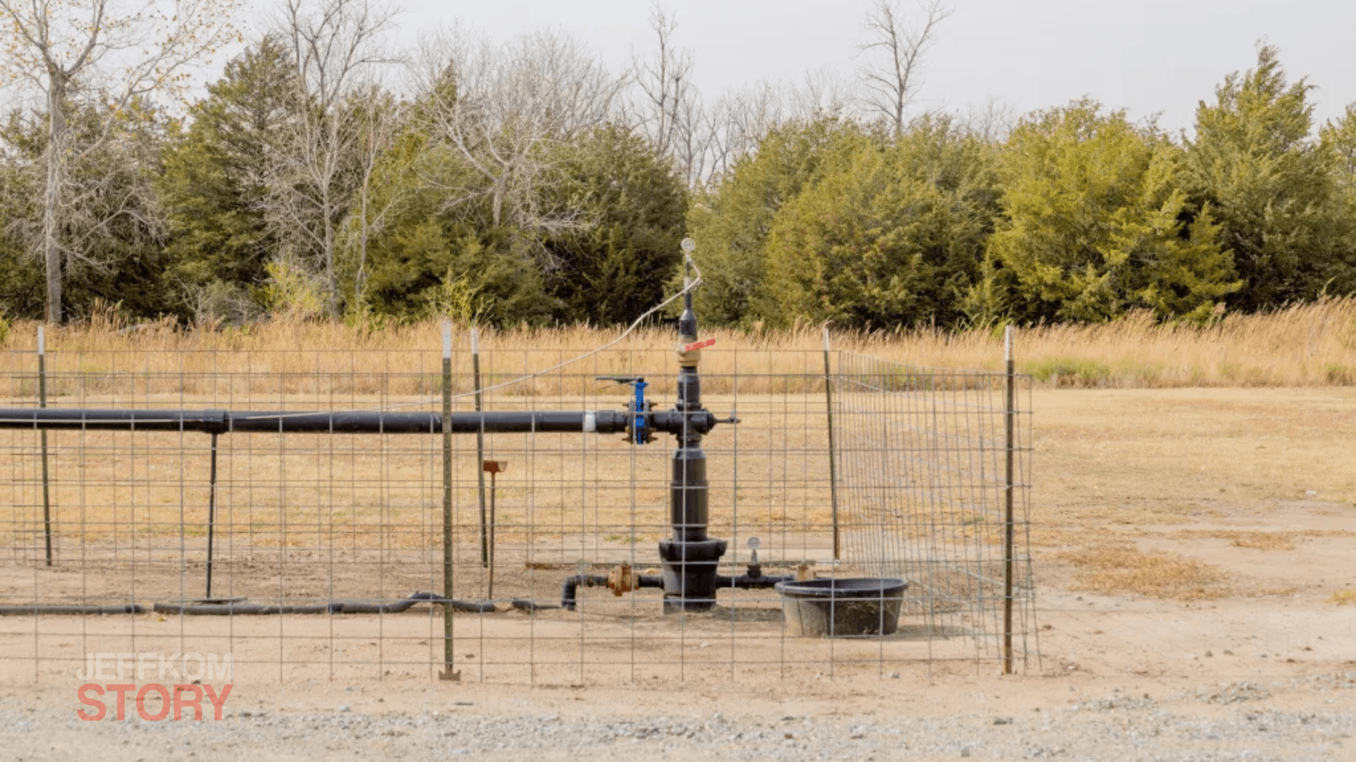 Microsoft Backs Carbon Startup Vaulted Deep in Big Deal
