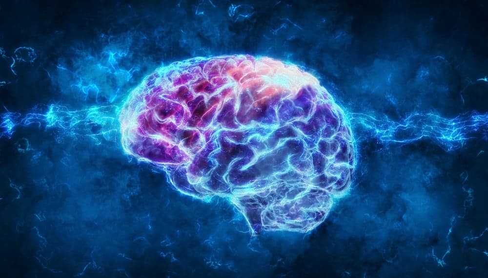 Brain Rot' as Word of the Year 2024